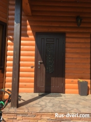 Фото дверь в дом с ковкой