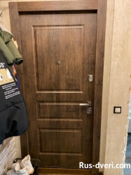Фото металлическая дверь коричневая