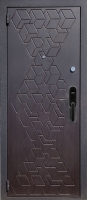 Биометрическая дверь БМ5