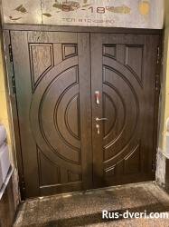 Фото парадная металлическая дверь