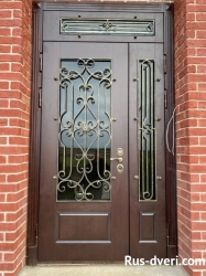 Фото парадная входная дверь с кованными решетками
