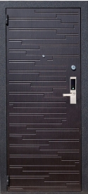 Биометрическая дверь БМ4